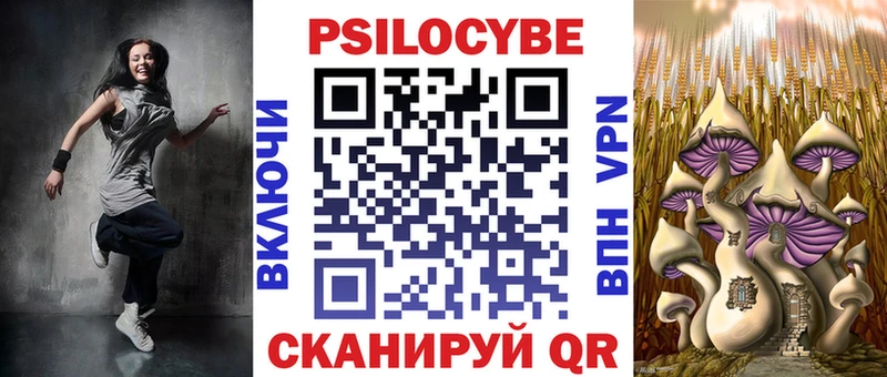 Псилоцибиновые грибы Psilocybe  Облучье 